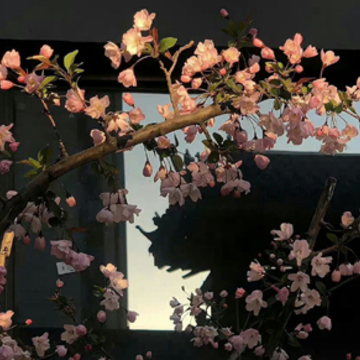 ��������ӵ�����˵˵ �о��Լ�������ľ���