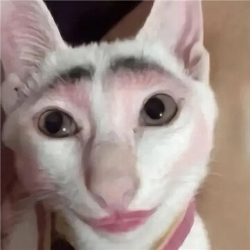 ���Ϻܻ�ĳ�è����ɳ���ֺ�Ц �������ϵ���Ϣ����ϼ�