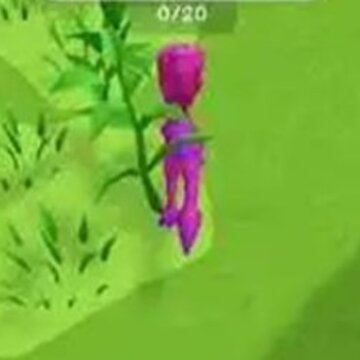 �ɰ���������