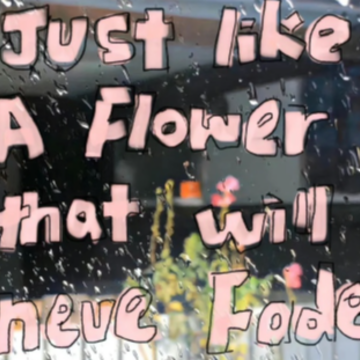 ��ԼȤζǩ���������� ��������ǩ��������