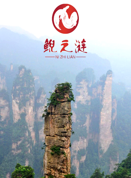 鲵之涟商城 鲵之涟商城