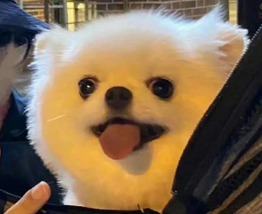 ɹ��ҵ֤���İ���� �õ���ҵ֤����Ĭ˵˵