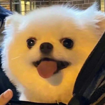 ɹ��ҵ֤���İ���� �õ���ҵ֤����Ĭ˵˵