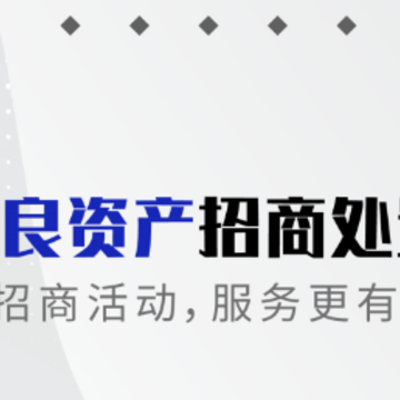百昌拍卖 百昌拍卖