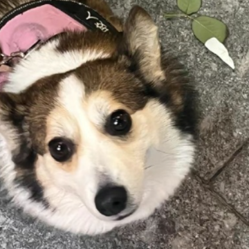 ʧ�ߵ�ҹ���ʺϷ�����Ȧ�ľ��� Ů����ҹʧ�ߵľ������