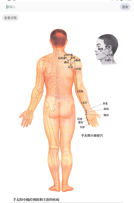 经络助手 经络助手