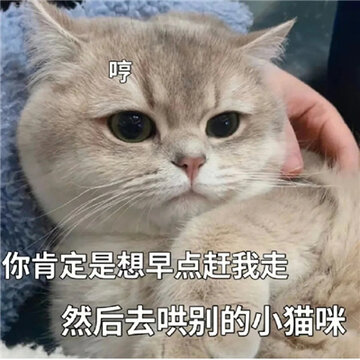 00839aAegy1hftc3yzy55j30zk0zk1kx.jpg