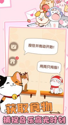 猫咪音乐双重奏 猫咪音乐双重奏