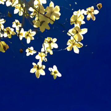���ӹ��Ŀ����ѽ�İ� ��̾ʱ�����̫��Ķ̾�Ψ��