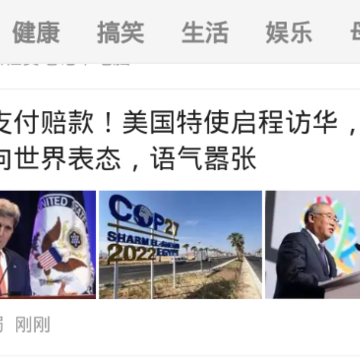 金猪看点 金猪看点