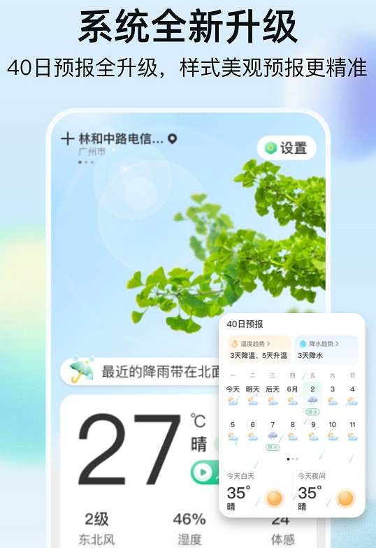 竹雨天气 竹雨天气