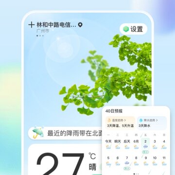 竹雨天气 竹雨天气