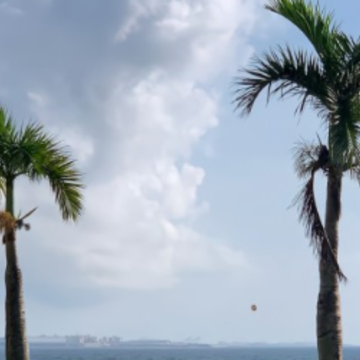 ̸������������˵˵ �������˸���䵭˵˵