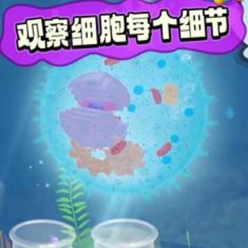 生命进化游戏 生命进化游戏