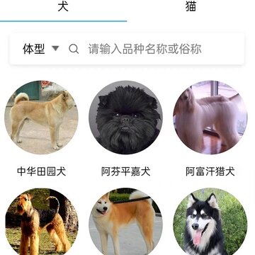 �����Ƿ�����