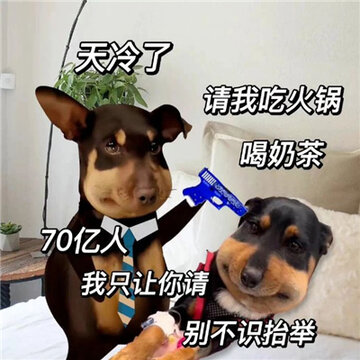 9516662fgy1hfv3t1gq5dj20sv0sh0wd.jpg