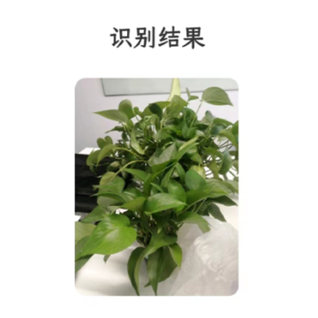 百宝全 百宝全