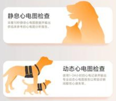 星爱宠 星爱宠