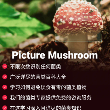 Picture Mushroom蘑菇识别扫一扫 Picture Mushroom蘑菇识别扫一扫