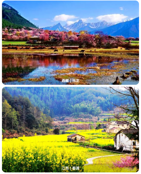 肥鹅爱旅行 肥鹅爱旅行