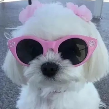 С��ǩ�������������������� ���������ǩ����ȫ