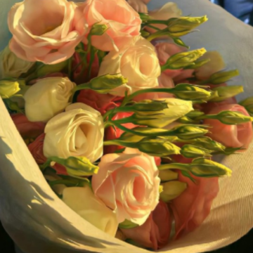 ��������Һ÷���˵˵ �����ر��۵Ķ̾�