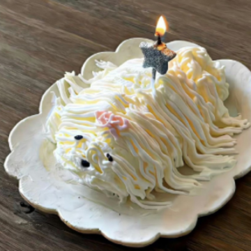 ��������Һ÷���˵˵ �����ر��۵Ķ̾�
