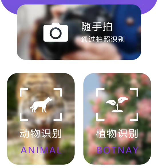 万物识图高手 万物识图高手