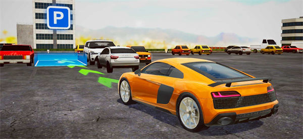 ��ʵ������ʻ(Real Car Driving)