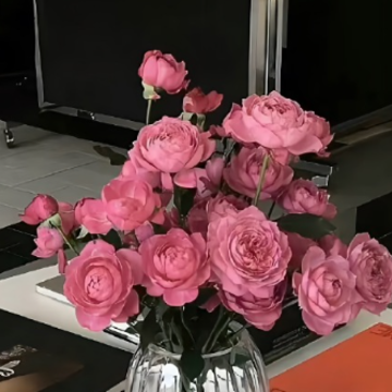 �������й�â������ һ����ů����Ʒζ������