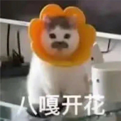 �����˵ı������°� ΢�űر�����Ĭ����