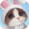�Һ��ҵ�è����v1.0.84167 �ٷ���