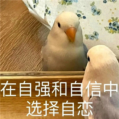 ��ֵ��ӵ�еĿ��ֱ���� ֵ���ղص��������