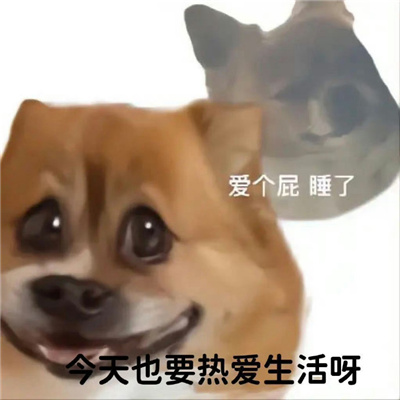 ���ľͺò�Ҫ���ձ��� ����ҲҪ�Ȱ�����ѽ