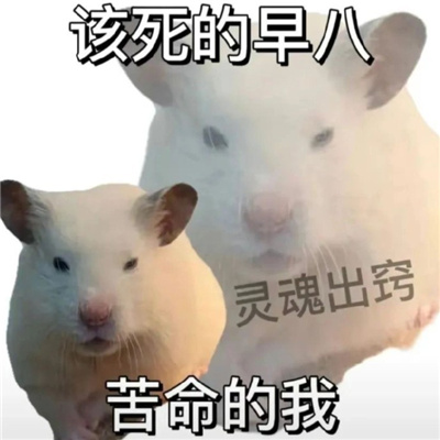 �ճ�����״̬֮������ ����ʧ���ķ�����