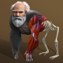 ��ϸ�������ࣨIdle Evolution From Cell To Human��v1.9 ���°�