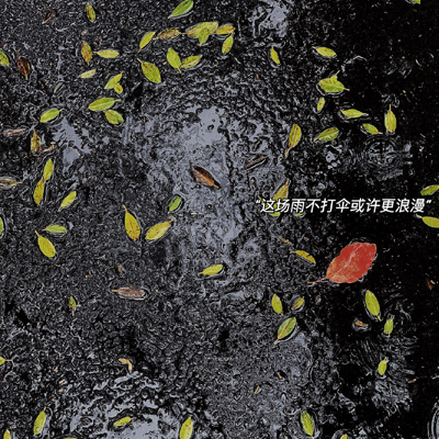 ����Ψ������Ȧ��ͼ���� �ⳡ�겻��ɡ����������