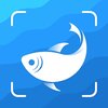 Picture Fish����ʶ������v2.4.20 �ٷ���
