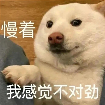 ����������������Ȥζ���� ����Ȥζupup����