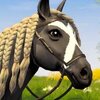 ��������ѡ��(ETG)v0.5.5 ��׿��