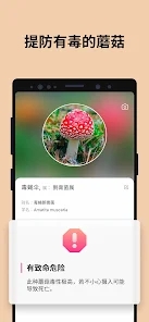 Picture MushroomĢ��ʶ��ɨһɨv2.9.1 ��׿��