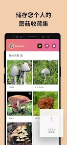 Picture MushroomĢ��ʶ��ɨһɨv2.9.1 ��׿��