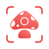 Picture MushroomĢ��ʶ��ɨһɨv2.9.1 ��׿��