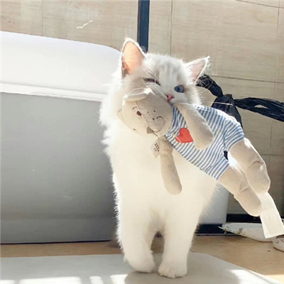 ��ϲ���ܾõĸ�����ͼ���ʺϼ� ��������ϲ�����زĺϼ�