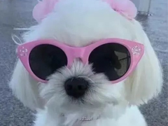 С��ǩ�������������������� ���������ǩ����ȫ