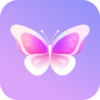 ���罻��appv1.0 �ٷ���