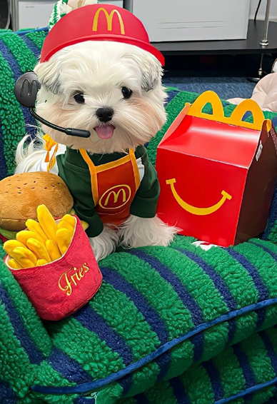 ��ů���ϵ���ֻ���ֽ ����������������ֽ�ϼ�