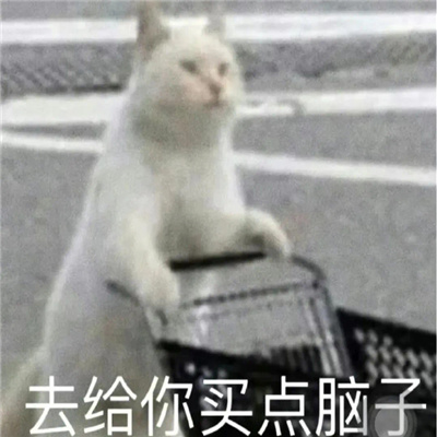 �罻���������������� ��ȥ�����������