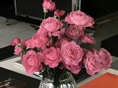 �������й�â������ һ����ů����Ʒζ������