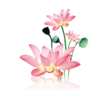 ˮī������appv1.1.0 ���°�